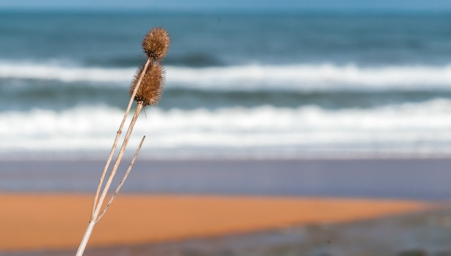 Playa de Meron.